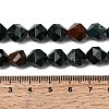 Natural Bloodstone/Heliotrope Beads Strands G-Z119-A16-03-6