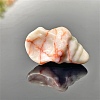 Natural Netstone Carved Healing Conch Figurines PW-WG99255-03-1