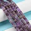 Natural Amethyst Beads Strands G-Z030-A13-01-4