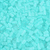 FGB Frosted Transparent Glass Seed Beads SEED-N013-05A-10-3