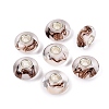 Handmade Lampwork & Brass Core European Beads LAMP-N044-12S-01-1