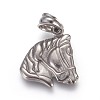 Tarnish Resistant 304 Stainless Steel Pendants STAS-E449-18P-1