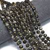 Natural Silver Obsidian Beads Strands G-K389-E84-01-2