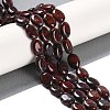 Natural Brecciated Jasper Beads Strands G-H029-A01-01-2