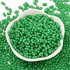 Baking Paint Glass Seed Beads SEED-L011-09A-02-2