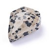 Natural Dalmatian Jasper Pendants G-L564-002-A01-3