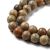 Natural Aqua Terra Jasper Strands G-S150-50-8mm-3