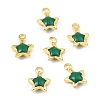 Brass Enamel Charms KK-K337-06G-2