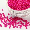 (Repacking Service Available) Baking Paint Glass Seed Beads SEED-C024-B-K5-1