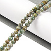 Natural Maifanite/Maifan Stone Beads Strands G-P451-01C-E-2