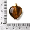 Natural Tiger Eye Pendants G-B149-10G-10-3