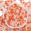Glass Seed Beads X1-SEED-K010-03N-3