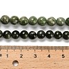 Natural Diopside Beads Strands G-R006-A01-03-5