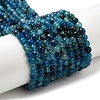 Natural Agate Beads Strands G-H302-A01-02-1