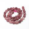 Natural Strawberry Quartz Beads Strands G-R445-8x10-17-2