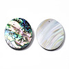 Natural Abalone Shell/Paua Shell Pendants SSHEL-N034-89-3