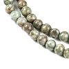Natural Maifanite/Maifan Stone Beads Strands X-G-P451-01C-E-4