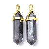 Natural Larvikite Pointed Pendants G-G025-01G-21-2