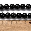 Dyed Natural Blue Tiger Iron Beads Strands G-G286-A03-12mm-5
