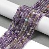 Natural Amethyst Beads Strands G-G189-A01-01-2