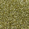 MIYUKI Delica Beads SEED-MY11-DB0124-3