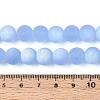 Frosted Transparent Glass Beads Strands GLAA-T032-T10mm-MBB04-4