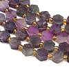 Natural Lepidolite/Purple Mica Stone Beads Strands G-F833-B03-01-3