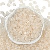 Transparent Colours Glass Seed Beads X1-SEED-P008-01B-06-3