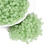 FGB Frosted Transparent Glass Seed Beads SEED-N013-03A-08-1