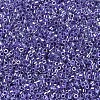 MIYUKI Delica Beads SEED-MY11-DB0250-3