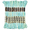 10 Skeins 6-Ply Polyester Embroidery Floss OCOR-CY0004-38E-1