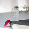 Rectangle Miniature Glass Empty Bottle Ornaments BOTT-PW0006-09-2