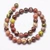 Natural Plum Blossom Jasper Beads Strands X-G-A163-02-8mm-2