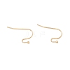 316 Surgical Stainless Steel Earring Hooks X-STAS-P307-07G-2