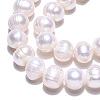 Natural Cultured Freshwater Pearl Beads Strands PEAR-N013-17N-01-4