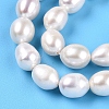 Natural Cultured Freshwater Pearl Beads Strands PEAR-N012-23C-01-4