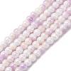 Glass Beads Strands LAMP-R020-04F-1