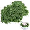 150g Artificial Moss Rocks DJEW-SP0001-22A-1