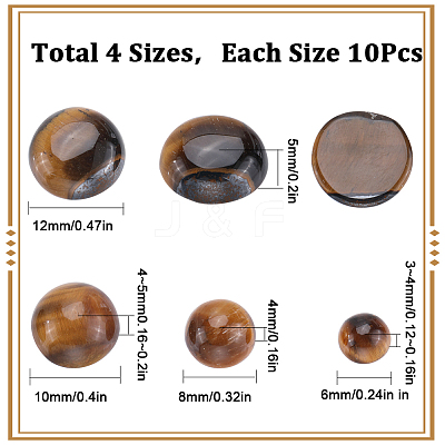 40Pcs 4 Styles Natural Tiger Eye Cabochons G-SC0002-48-1