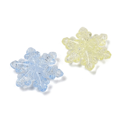 Transparent Crackle Acrylic Beads OACR-B031-05-1