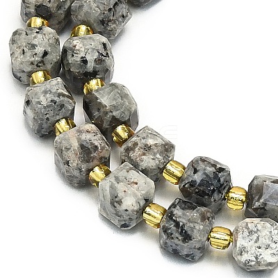 Natural Syenite Beads Strand G-I376-D17-01-1
