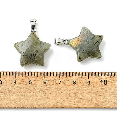 Natural Labradorite Pendants GG-K002-10G-1