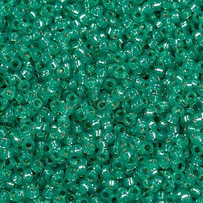 MIYUKI Round Rocailles Beads X-SEED-G009-RR0572-1