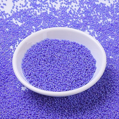MIYUKI Round Rocailles Beads X-SEED-G007-RR0483-1