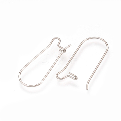 Tarnish Resistant 304 Stainless Steel Hoop Earrings Findings STAS-Q223-11C-1