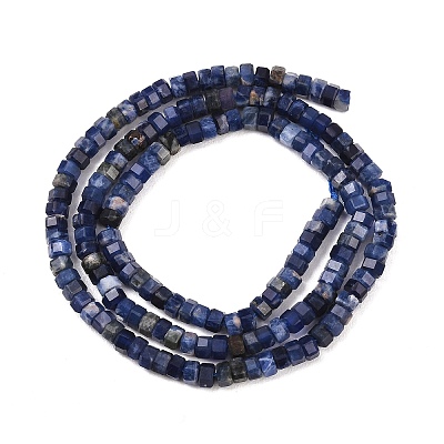 Natural Sodalite Beads Strands G-G345-C31-2x4mm-1