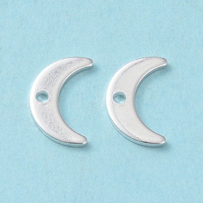 304 Stainless Steel Charms STAS-L234-073S-1