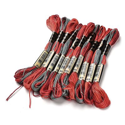 10 Skeins 6-Ply Polyester Embroidery Floss OCOR-K006-A37-1