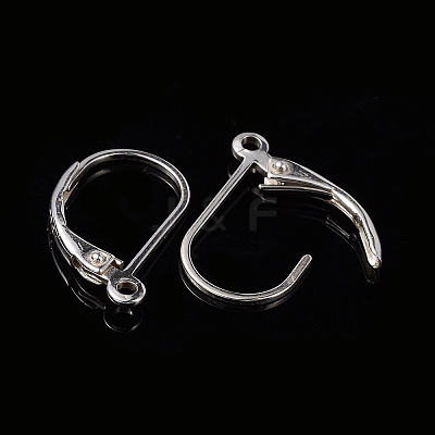 925 Sterling Silver Hoop Earrings STER-P032-06S-1