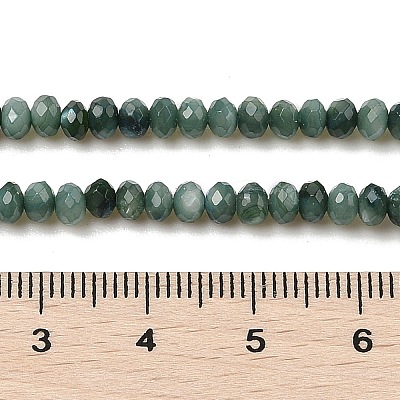 Natural Freshwater Shell Dyed Beads Strands SHEL-R100-13A-05-1